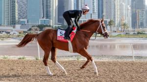 Kabirkhan, Meydan, Dubai, Brad Cox